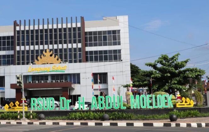 
					Perkuat Layanan Eksekutif, RSUD Abdul Moeloek Luncurkan “Mother & Child Care” dan Paket ProBaby